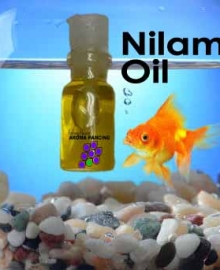 minyak nilam